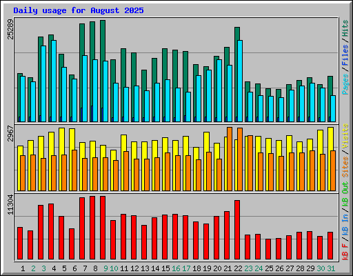 Daily usage for August 2025