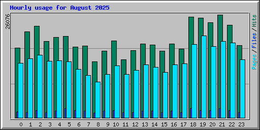 Hourly usage for August 2025