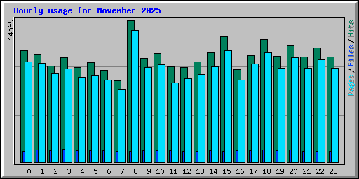 Hourly usage for November 2025