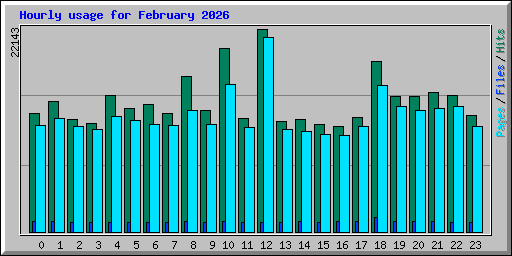 Hourly usage for February 2026
